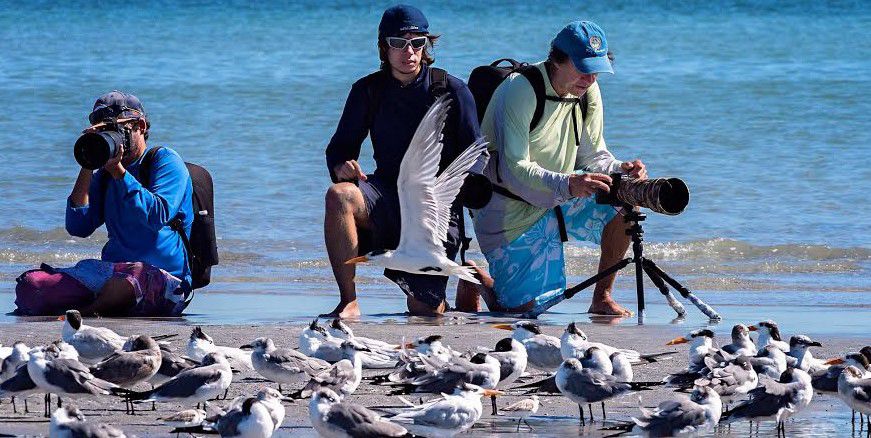 Cayo Vizcaíno production team on location